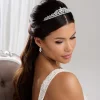 Lace & Favour Prom Headbands & Tiaras | Crystal Hair Accessories*Downton Floral Cubic Zirconia Crystal Wedding Tiara Silver