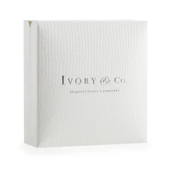 Ivory & Co Silver Prom Jewellery | Prom Earrings*Ivory and Co Willow Silver Long Trailing Crystal Vine Earrings