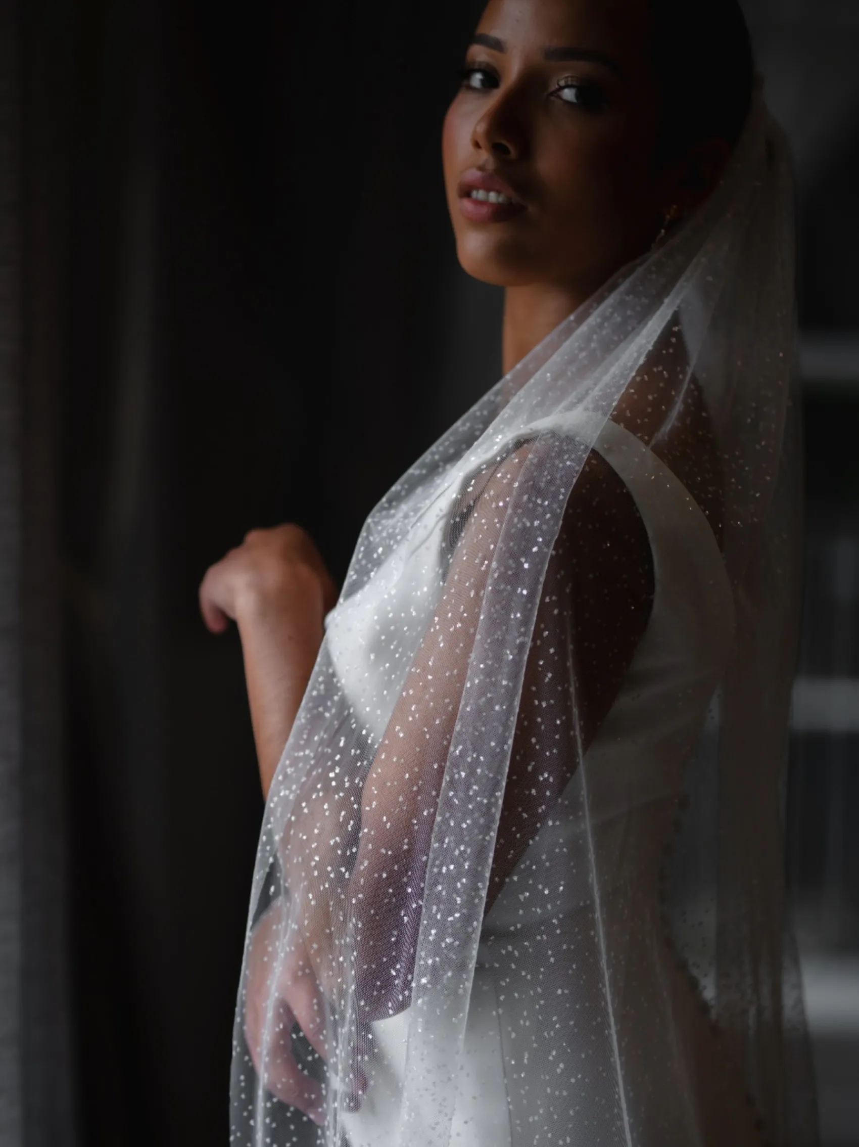 Linzi Jay Single Tier Veils | Chapel Length & Cathedral Veils*Sparkly Tulle Single Tier Bridal Veil LA602 Ivory