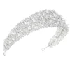 Lace & Favour Crystal Hair Accessories | Silver Hair Accessories*Martinique Statement Crystal and Pearl Bridal Crown Silver